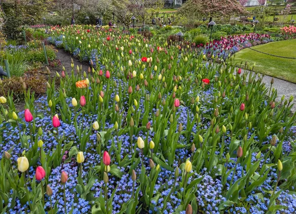 Egy Park Gyönyörű Színes Virágcsokrokkal — Stock Fotó