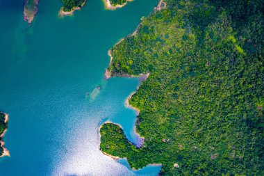 Ağaçlarla çevrili ormandaki kristal berrak göl manzarası..