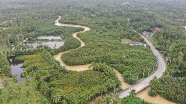 Ormanla çevrili kirli nehir ve yolların hava manzarası.