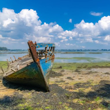 Brittany, Morbihan körfezindeki Ile aux Moines adası, Penhap 'daki güzel plaj, ahşap enkazlar.