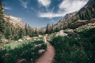 Bulutlu bir günde yeşil ormanlarla kaplı dağların arasından manzaralı bir manzara.
