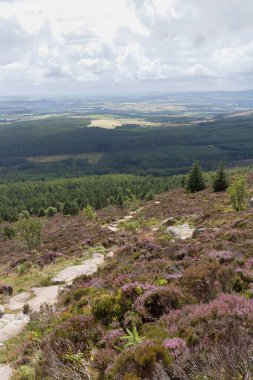 Bennachie 'li Mither Tap, Aberdeenshire, İskoçya, İngiltere' ye uzanan fundalık bir arazinin dikey görüntüsü