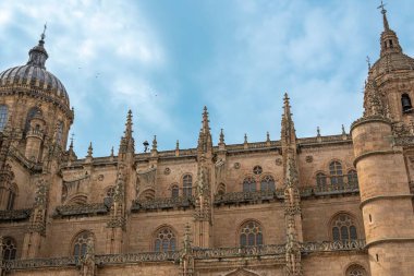 İspanya, Salamanca 'nın görkemli gotik katedralinin kuzey kanadının alçak açılı bir görüntüsü.