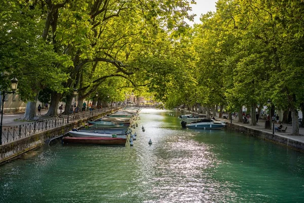 Piękny Widok Canal Vasse Wyłożonymi Drzewami Francja — Zdjęcie stockowe