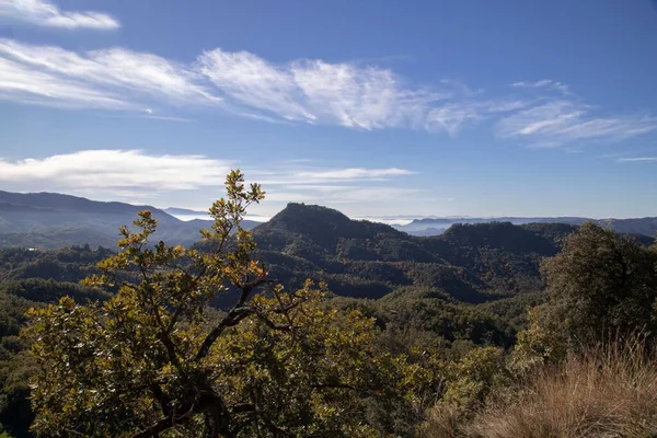 Живописный Вид Горы Покрытые Зелеными Форестами Солнечный День — стоковое фото