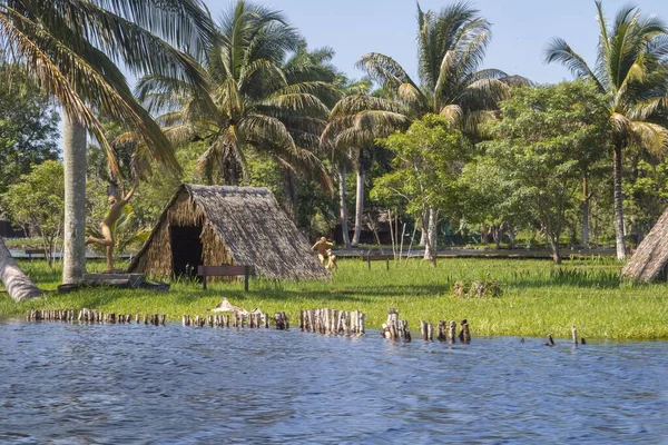 Eine Hütte Ufer Des Zapata Sumpfes Inmitten Üppiger Tropischer Natur — Stockfoto