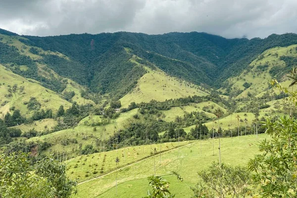 Una Hermosa Vista Del Valle Del Cocora Colombia Bajo Cielo — Foto de Stock