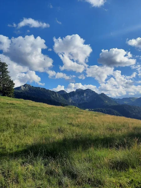 Bulutlu mavi gökyüzünün altındaki bir dağ sırasına karşı yeşil bir çayırın dikey görüntüsü.
