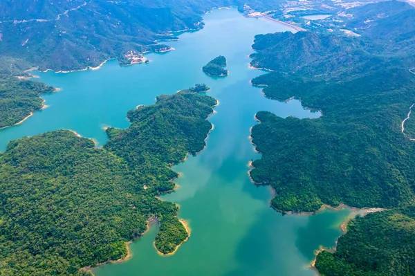 Una Vista Aérea Pintoresco Lago Forestal Rodeado Árboles —  Fotos de Stock