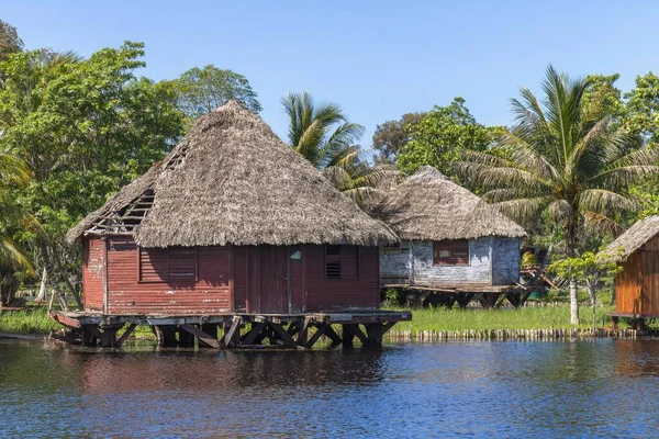 Typische Häuser Ufer Des Zapata Sumpfes Umgeben Von Üppiger Tropischer — Stockfoto