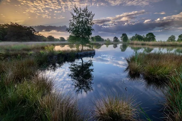 池に映る木々や空の美しいショット — ストック写真