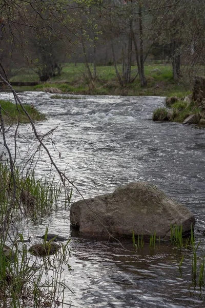 Une Rivière Qui Coule Dans Une Forêt Chambon Sur Lignon — Photo