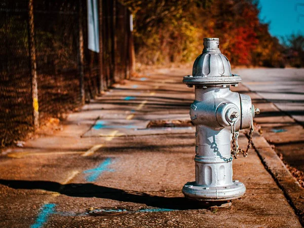 Shallow Focus Shot Silver Fire Hydrant Sidewalk Blur Colorful Trees — Stock Photo, Image