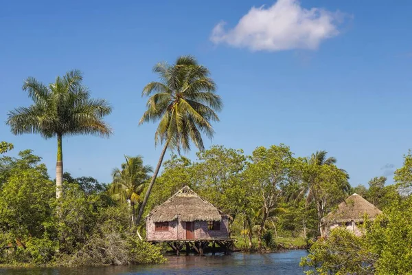 Typische Hütten Und Tropische Natur Ufer Des Zapata Sumpfes Kuba — Stockfoto