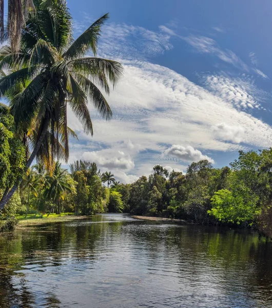 Eine Wunderschöne Landschaft Des Zapata Sumpfes Mit Üppiger Tropischer Natur — Stockfoto