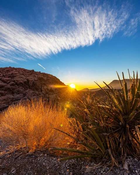 Вертикальный Снимок Живописного Восхода Солнца Национальном Заповеднике Red Rock Canyon — стоковое фото