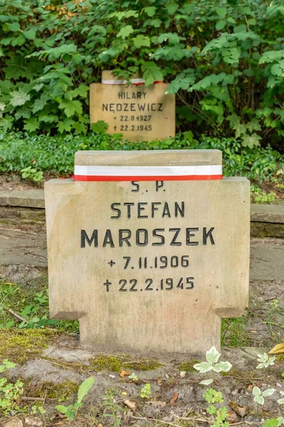 Kinci Dünya Savaşı Nda Stefan Maroszek Adlı Polonyalı Bir Askerin — Stok fotoğraf