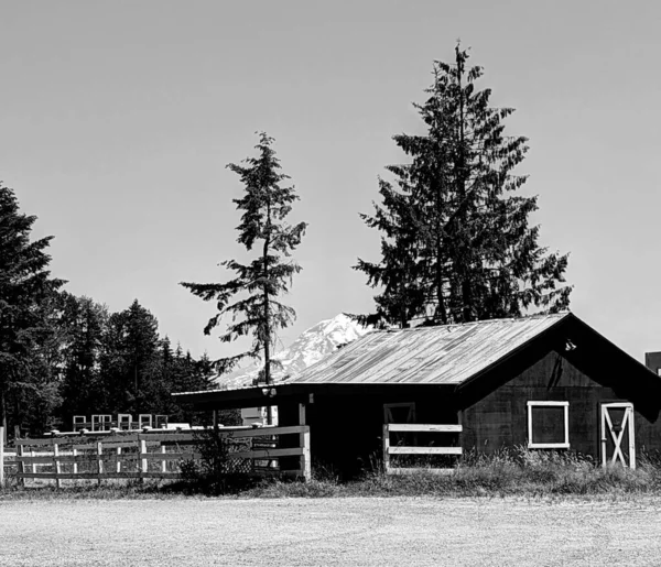 Egy Szürkeárnyalatú Felvétel Egy Öreg Házról Vidéken Fákkal Hegycsúcsokkal — Stock Fotó