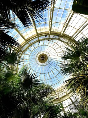 Bir seranın tavanının dikey alçak açılı görüntüsü.