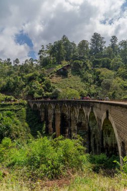 Sri Lanka 'daki Dokuz Kemer Köprüsü' nün dikey görüntüsü.