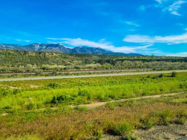 Arkasında kayalık dağlar olan yeşil bir manzaranın manzarası.