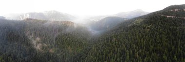Yeşil orman ve dağların güzel panoramik manzarası. Kosova.