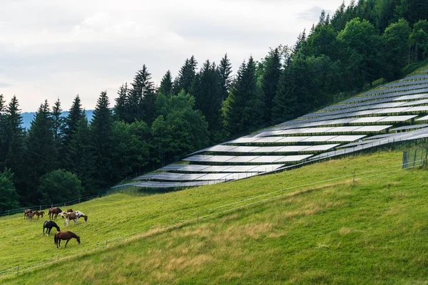 Solar Park Alpine Meadow Pasture Grazing Horses Alpine Mountains Background — Stock Photo, Image