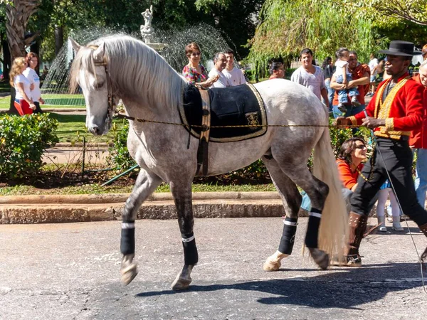 Groot Publiek Van Volwassenen Kinderen Kijken Parade Presentatie Vertoning Van — Stockfoto