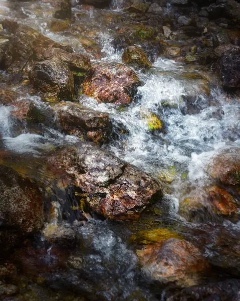 Una Vista Cerca Hermoso Río Rocoso Día Soleado —  Fotos de Stock