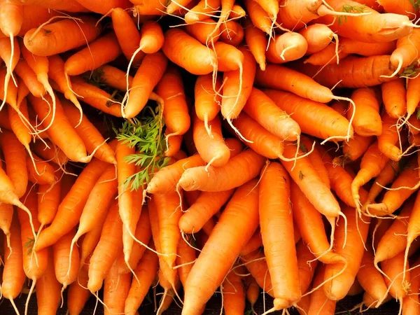 新鲜胡萝卜堆放在露天尤金星期六市场 — 图库照片