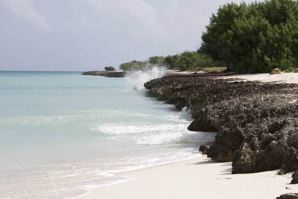 Malowniczy Widok Morze Karaibskie Fale Uderzające Skaliste Wybrzeże Arubie — Zdjęcie stockowe