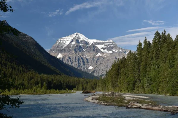 Festői Kilátás Nyílik Körül Fenyőerdők Ellen Mount Robson Brit Columbia — Stock Fotó