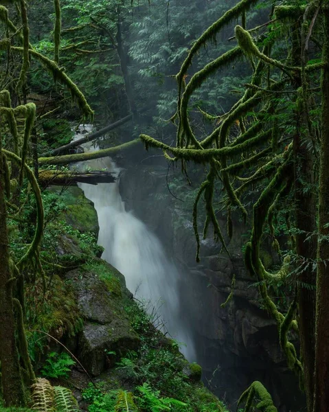 Tiro Vertical Uma Bela Cachoeira Uma Floresta Densa — Fotografia de Stock