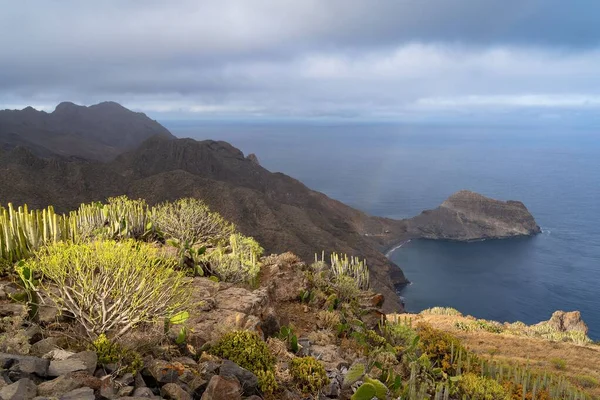 Playa Antequera Tenerife Canary岛海岸鸟瞰图 — 图库照片