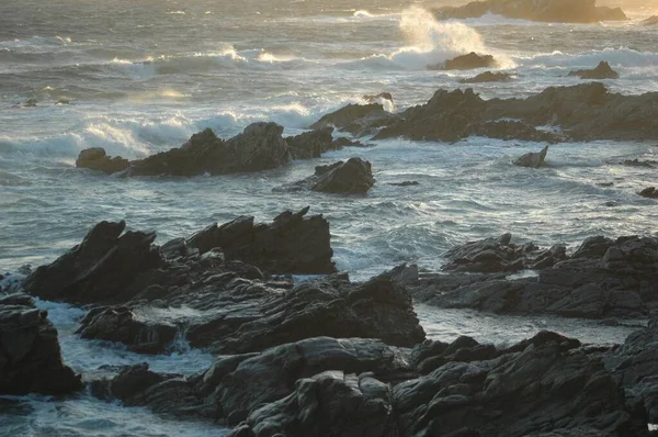 Talya Sardunya Kayalara Vuran Güzel Bir Deniz Dalgası Manzarası — Stok fotoğraf