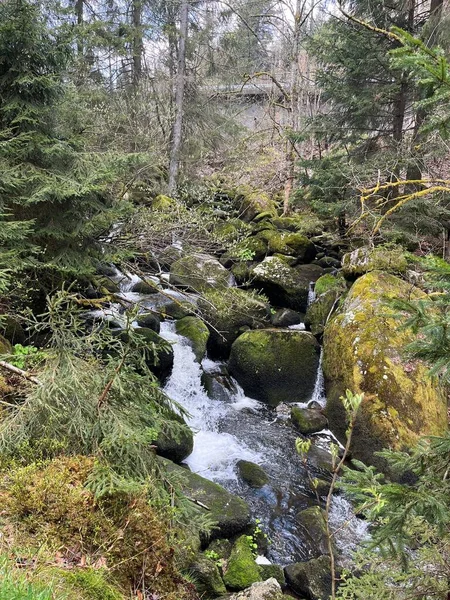 Eine Vertikale Aufnahme Eines Mountain Creek — Stockfoto