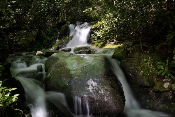 Una Vista Panorámica Río Que Fluye Bosque Rodeado Naturaleza Salvaje — Foto de Stock