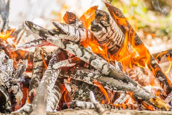 Nærbilde Stykker Tømmer Ved Kull Aske Som Brenner Flammer – stockfoto