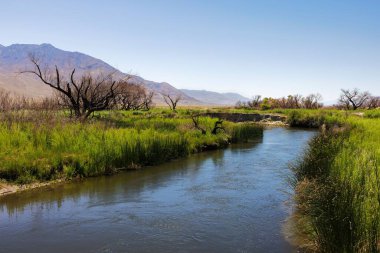 Owens Nehri manzarası