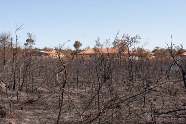 Brezilya 'nın Brasilia kentinin kuzeybatısındaki Karriri-Xoco ve Tuxa Kızılderili Bölgesi yakınlarında kundaklanmış olabilir.