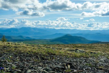 Moğolistan 'daki göçebe kabile tarlasının üzerinde parlak bulutlu bir gökyüzü.