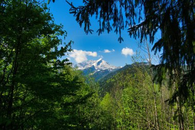 Arkaplanda canlı yeşil tepeler ve karlı dağlar var.