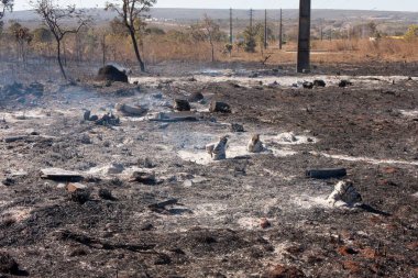The Charred remains of a brush fire possibly arson near the Karriri-Xoco and Tuxa Indian Reservation in the Northwest section of Brasilia, Brazil