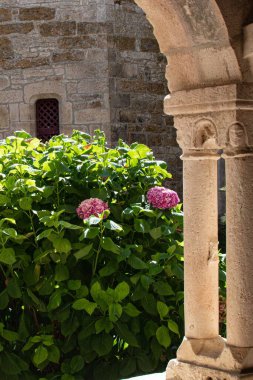Antik binaların ve güzel çiçeklerin arka planında bir sütunun dikey çekimi