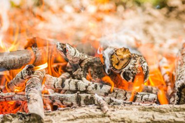 Yakından çekilen odunlar, odun, kömür ve küller alevler içinde yanıyor..