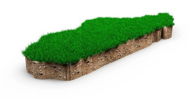 Madagaskar haritasının yeşil ottan yapılmış 3 boyutlu bir çizimi.