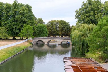 Parkta bir köprü manzarası.