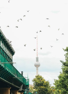 Gökyüzünde kuşlar uçuşan bulutlu bir günde Berlin TV Kulesi 'nin dikey görüntüsü.