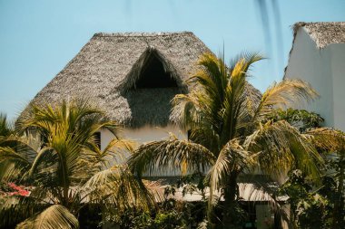 El Paredon, Guatemala 'da ağaçlarla çevrili ahşap evlerin alçak açılı görüntüsü.