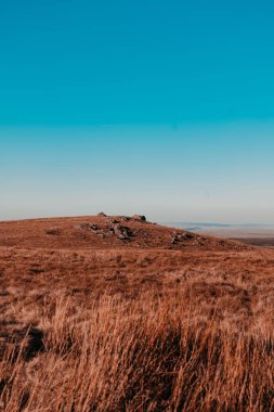 Mavi gökyüzü arkaplanına karşı boş bir alanın dikey görüntüsü